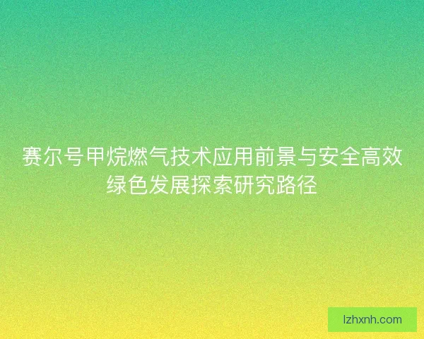 赛尔号甲烷燃气技术应用前景与安全高效绿色发展探索研究路径